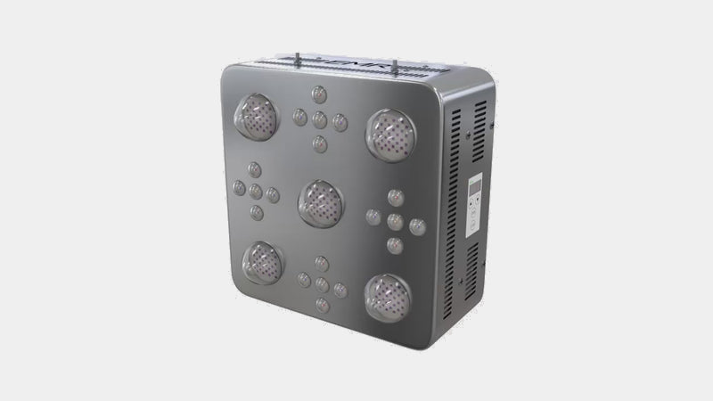 Firestorm Pro
